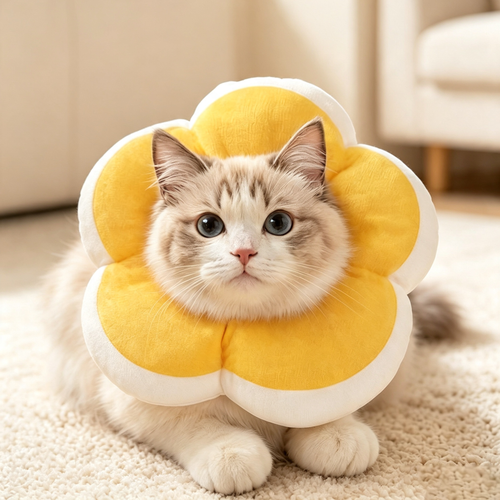 Cute Flower Pet Recovery Collar