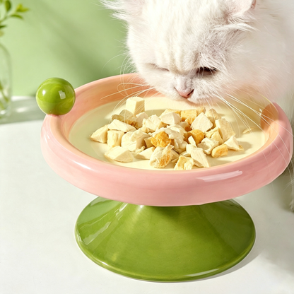 Elevated Ceramic Cat Bowl